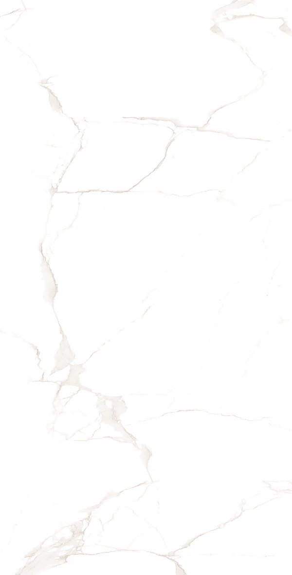 image_not_found